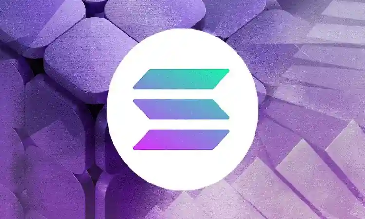 نهادهای حامی سولانا