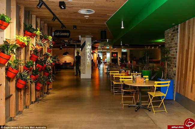 تصاویری از دفتر کار گوگل تصاویری از دفتر کار گوگل